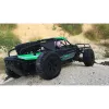 Terreinwagen Amewi Dune radiografisch bestuurd model 1:10