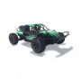 Terreinwagen Amewi Dune radiografisch bestuurd model 1:10