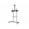 Equip 60 inch tot 100 inch Eco ultra-grootbeeldscherm-TV-wagen