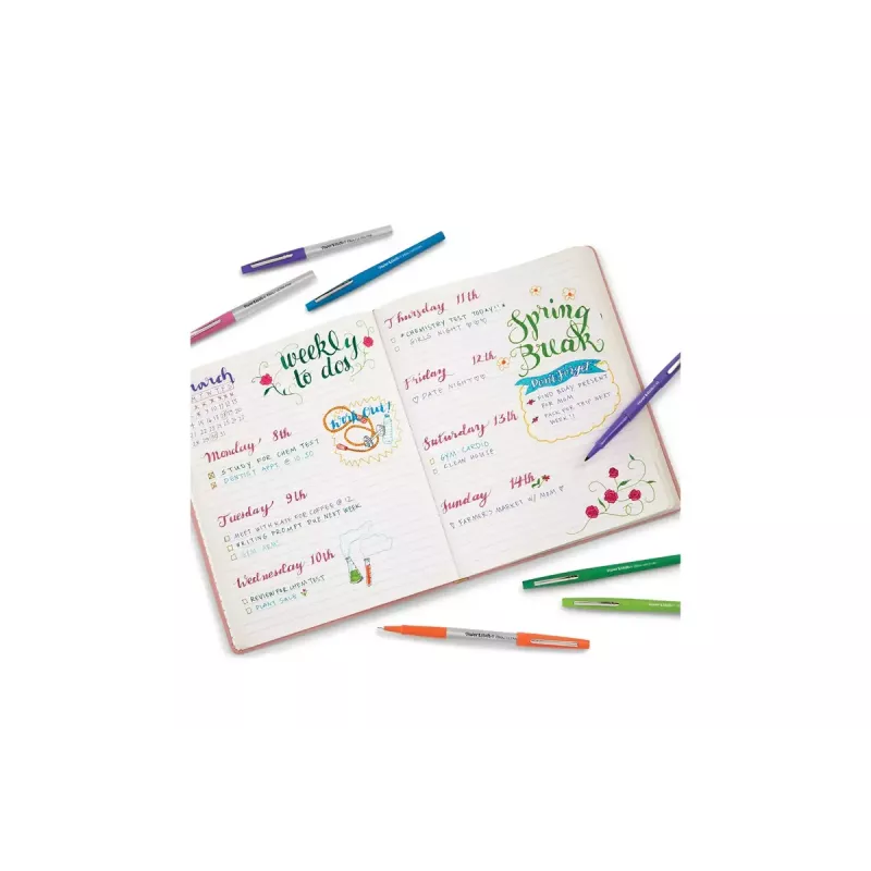 Filzstift Medium Papermate Flair meerkleurig 16 stuks