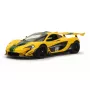 On-road raceauto Jamara McLaren P1 GTR
