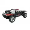 Buggy Amewi Breaker radiografisch RC-model 1:10