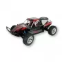 Buggy Amewi Breaker radiografisch RC-model 1:10