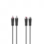 Hama 00205095 audiokabel 5 m 2 x RCA zwart
