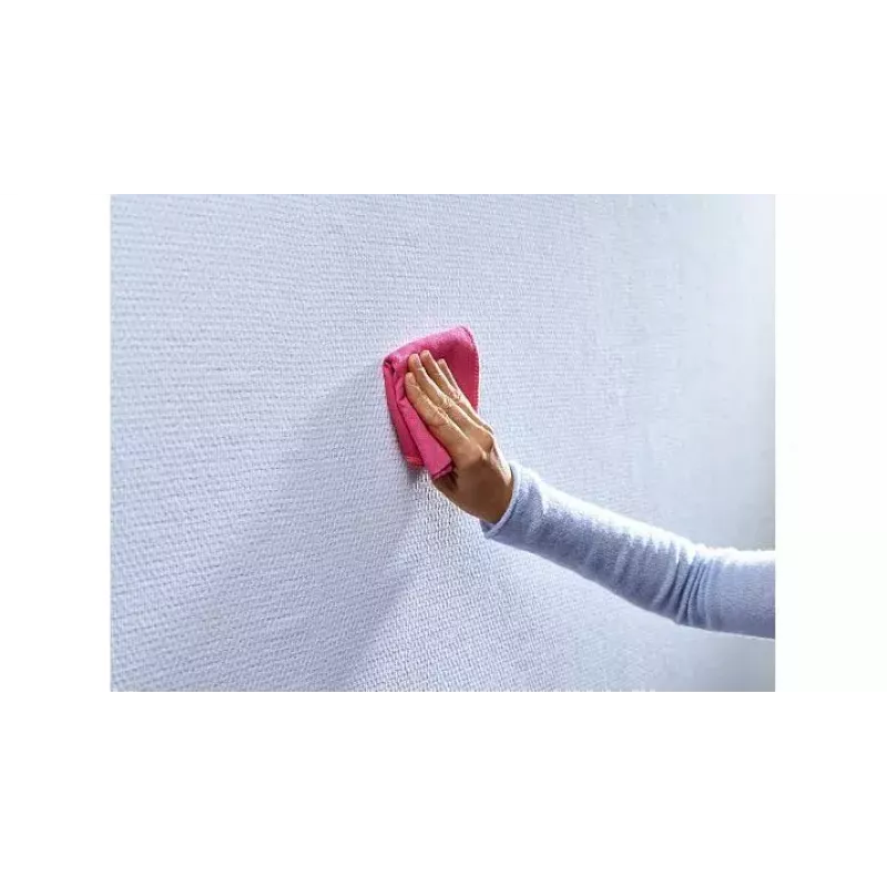 Gebruikshaak TESA 77774 indoor rood wit 2 stuks