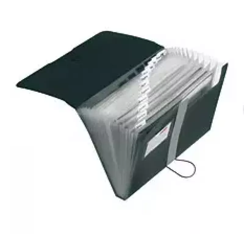 Ordner Herlitz 11208394 zwart