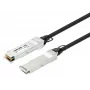 Intellinet 2m 40G QSFP+ passieve Direct Attach koper-twinax-kabel 30AWG MSA QSFP-H40G-CU2M compatibel