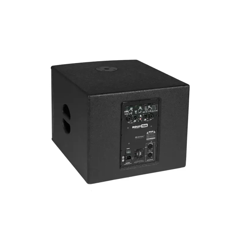 Actieve subwoofer Omnitronic 11039050 zwart 500 W