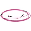 ACT 25 meter multimode 50/125 OM4(OM3) polariteit A glasvezel trunkkabel met MTP/MPO bussen