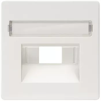 Siemens 5TG2546 wandplaat/schakelaarafdekking