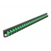 Splicebox frontplaat DeLOCK 19 inch 24 poort SC simplex groen