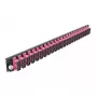 Splicebox frontplaat DeLOCK 19 inch 24 poort SC duplex violet