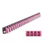 Splicebox frontplaat DeLOCK 19 inch 24 poort LC quad violet