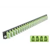 Splicebox frontplaat DeLOCK 19 inch 24 poort LC quad limoengroen