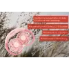 Unold nekventilator Breezy Pink, roze, 2 ventilatoren, 8 u, nekventilator, wit, 1 stuk