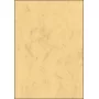Kunstdrukpapier Sigel DP262 100 vel beige 90 g/m²