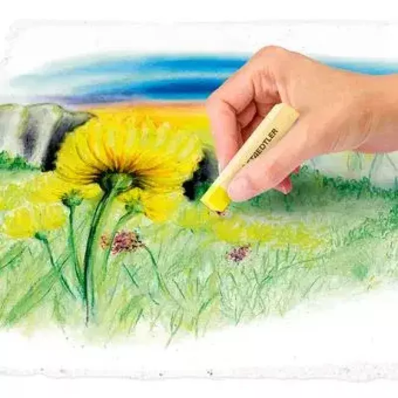 Droog pastelkrijt zacht Staedtler 2430 meerkleurig 24 stuks