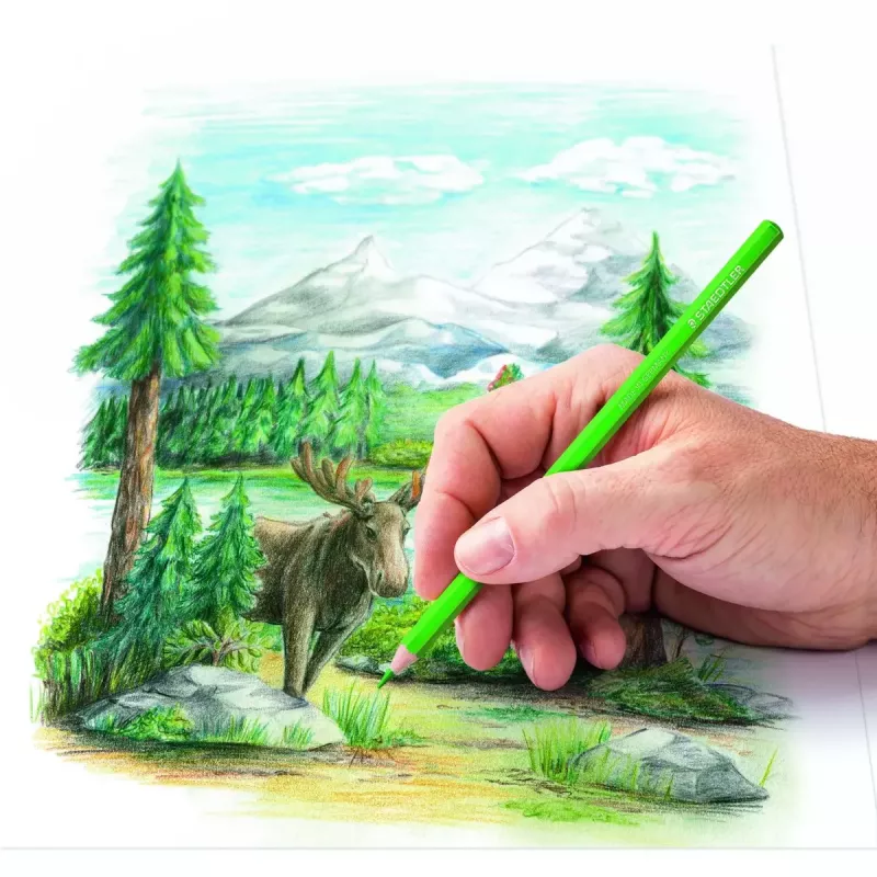 Kleurpotloden Staedtler 146C veelkleurig 24 stuks