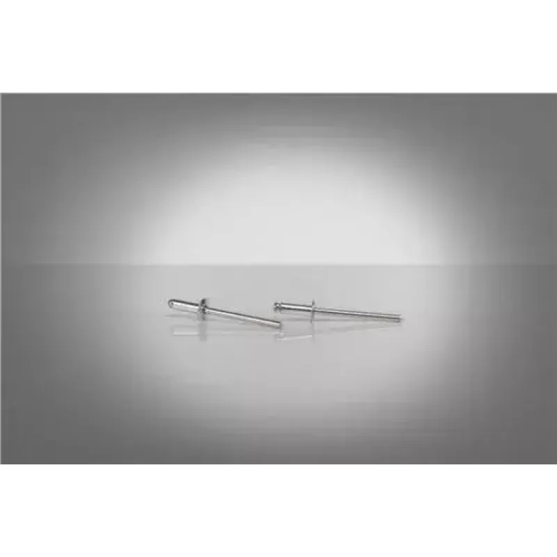 GESIPA 6300162 blindklinknagel, aluminium/staal, 3 x 10 mm, klembereik 5–7 mm, platrondkop