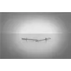 GESIPA 6300162 blindklinknagel, aluminium/staal, 3 x 10 mm, klembereik 5–7 mm, platrondkop