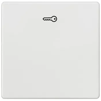 Siemens 5TG6208 wandinzet/schakelaarafdekking meerkleurig