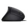 Equip 245118 muis universeel rechtshandig USB Type-A optisch 3200 DPI