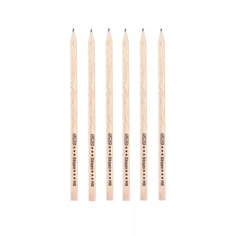 Grafietpotlood Herlitz 8670564 12 stuks