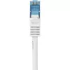 Netwerkkabel Renkforce RF-3829272 20m Cat6a S/FTP