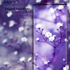 Kapsolo KAP30437 privacyscreenprotector 15,5 cm (6,1 inch), 9H