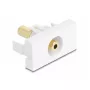 Contactdoos DeLOCK 90843 2 x 3,5 mm kabelverbinder wit