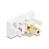 DeLOCK Easy 45 module 3,5 mm 4-pins jackbus naar bus, verguld, wit (90841)