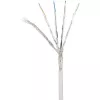 Netwerkkabel Renkforce RF-4145283 1m Cat6a S/FTP