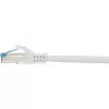Netwerkkabel Renkforce RF-4145283 1m Cat6a S/FTP