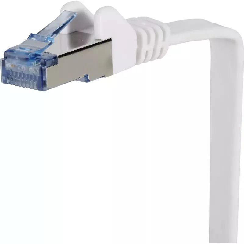 Netwerkkabel Renkforce RF-4149846 Cat6a U/FTP 5m grijs