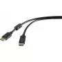 DisplayPort-kabel Renkforce RF-4212204 3 m zwart