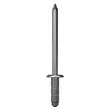 GESIPA 1432058 PolyGrip popnagel, 4,8 x 10 mm, staal/staal, 50 stuks