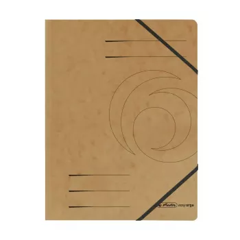 Verzamelmap karton gesorteerde kleuren A4 Herlitz 11166816