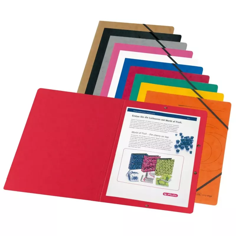 Verzamelmap karton gesorteerde kleuren A4 Herlitz 11166816