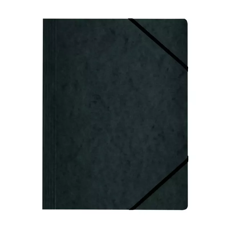 Verzamelmap karton gesorteerde kleuren A4 Herlitz 11166816
