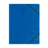 Verzamelmap karton gesorteerde kleuren A4 Herlitz 11166816