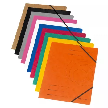 Verzamelmap karton gesorteerde kleuren A4 Herlitz 11166816