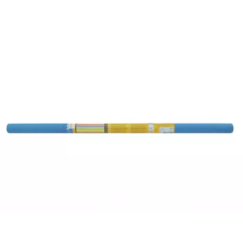 Decoratieverlichting Eurolite 52207053 1 lamp 36W blauw
