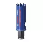 Gatenzaag Bosch 2 608 900 420 2,2 cm los voor boormachine