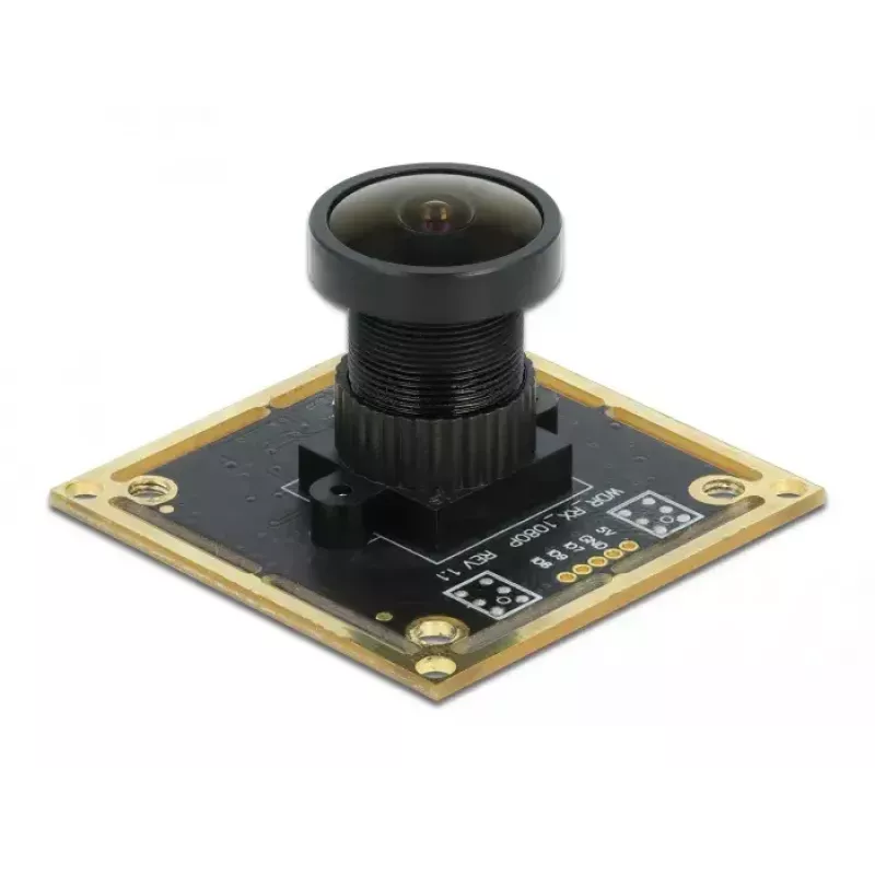 Verborgen camera DeLOCK 96389 zwart