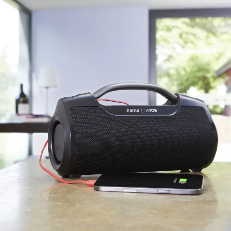 Hama Mate Pro stereo draagbare luidspreker zwart 60 W