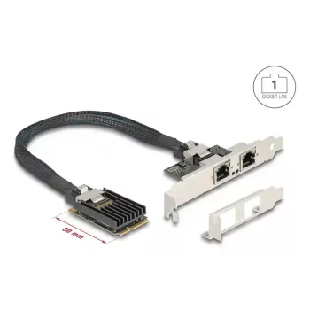 DeLOCK 95280 interne RJ-45-adapter Mini PCI Express 4 Gbit/s