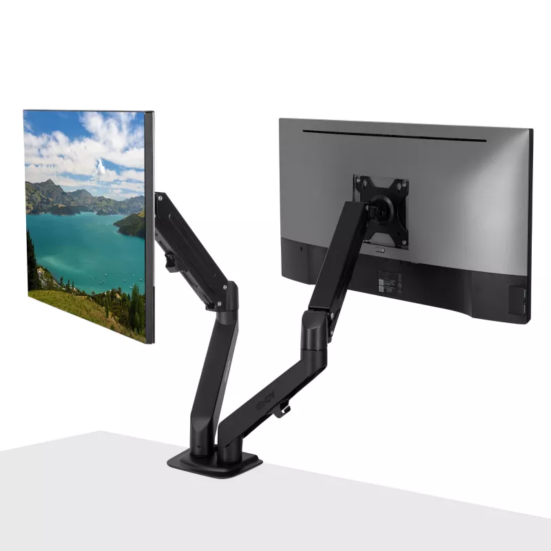 Lindy 40708 Dual Mount bureau-gasveerarm, zwart