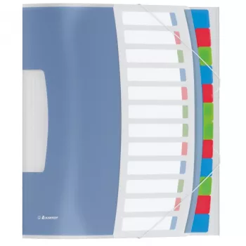Esselte Divider Book Vivida PP 12 tabs, blauw, veelkleurig, polyvinylchloride (PVC), A4, 266 mm, 20 mm, 320 mm