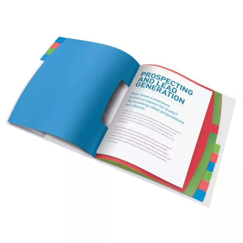 Esselte 624030 tabbladenboek, 266 mm, 20 mm, 370 g, blauw, meerkleurig
