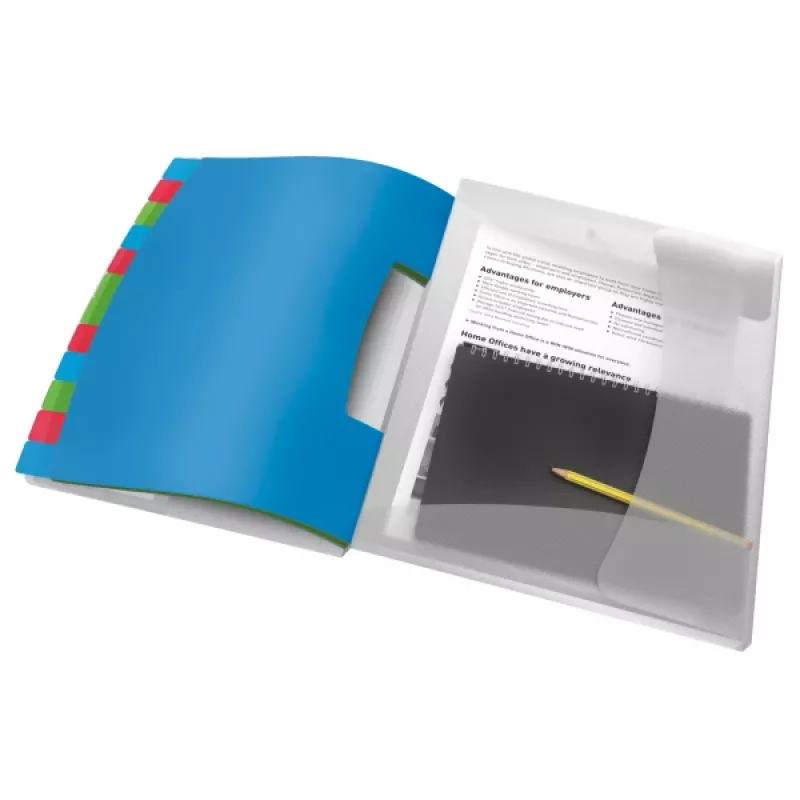 Esselte 624030 tabbladenboek, 266 mm, 20 mm, 370 g, blauw, meerkleurig